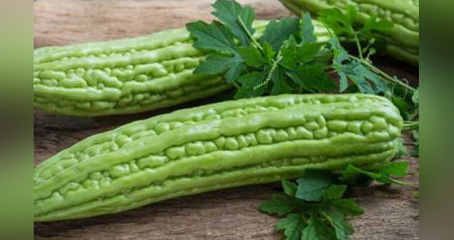 Obat Herbal Pencegah Diabetes.