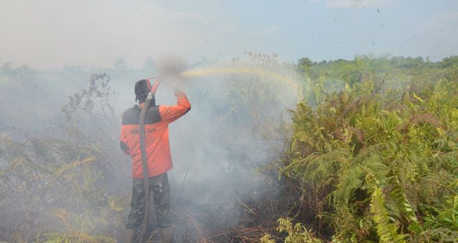 TRGD sudah membangun 400 unit lebih sekat kanal dan 200 unit sumur bor. Namun, kebakaran masih juga terjadi. Dishut bakal melakukan evaluasi.