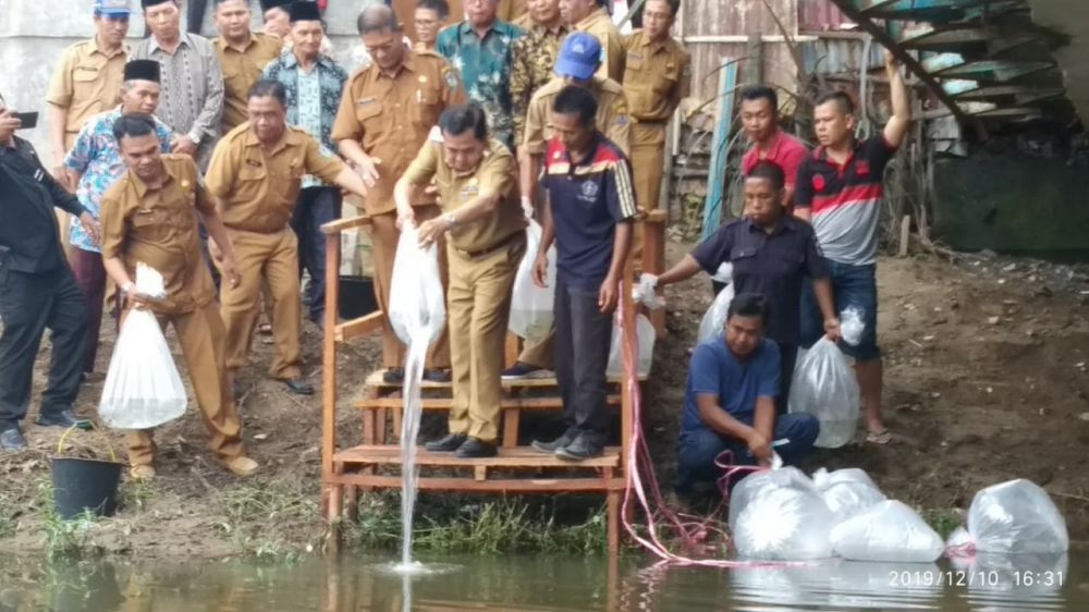 Wako AJB Bersama Dinas Perikanan Sebarkan Ribuan Benih Ikan Semah di Batang Sangkir & Batang Merao.

