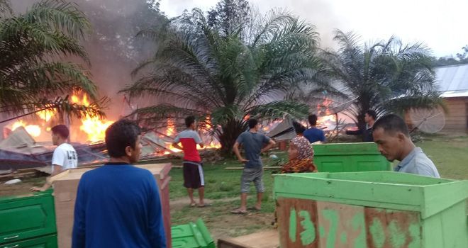 Bangunan Ponpes Tahfizquran rata dengan tanah akibat dilalap sijago merah. Namun Petugas Damkar Baru Datang setelah seluruh bangunan hangus.

