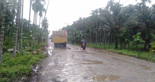 Satu diantara jalan Provinsi Jambi yang berada di Kecamatan Muara Sabak Timur, rusak parah.
