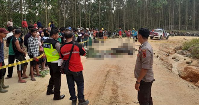 Pedagang duren tewas bersimbah darah setelah tubuhnya hancur usai dilindas truk tronton.