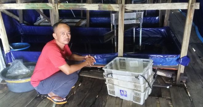 Salah satu pengepul udang nenek yang biasa ekspor ke luar negeri di Tanjab Timur terpaksa menutup sementara usahanya karena tidak adanya stok udang yang akan dikirim kemarin (5/2).    