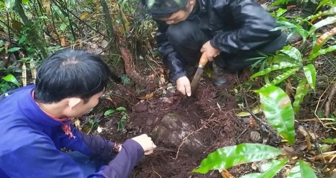 Tim ekspedisi yang terdiri dari APGI yang didukung Dinas Pariwisata Kota Sungai Penuh saat melakukan penulusuran benda bersejarah yang ada di Bukit Sitinjau Laut, Desa RKE, Kota Sungai Penuh.