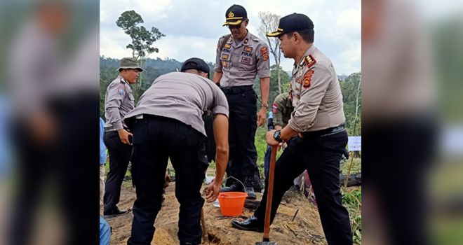 Penanaman 100.000 Pohon di areal konsesi PT. ABT (Alam Bukit Tiga puluh ) di desa Pemayungan Kecamatan Sumay, Kabupaten Tebo. 