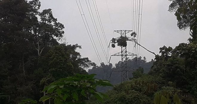 Pohon yang akan roboh yang berada pas di tower tranmisi.