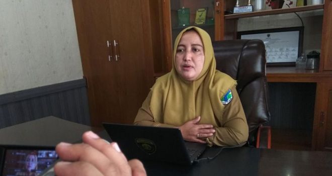 Kepala Dinas Kesehatan Kabupaten Batanghari Dr.Elfie Yennie.