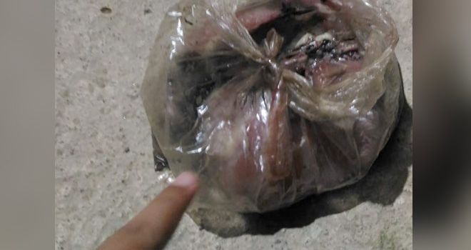 Penyaluran BPNT di Kerinci, Warga Terima Ayam Tak Layak Konsumsi