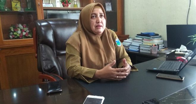 Kepala Dinas Kesehatan Kabupaten Batanghari, dr. Elfie Yennie,MARS.