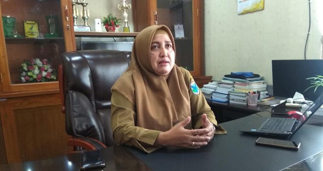 Kepala Dinas Kesehatan Kabupaten Batanghari dr. Elfie Yennie.