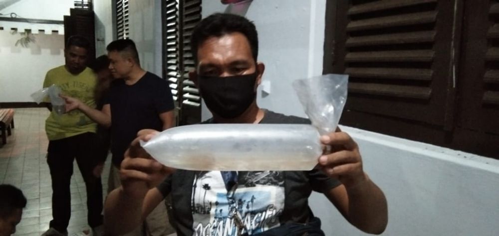 Polairud Polda Jambi Amankan Puluhan Ribu Baby Lobster.