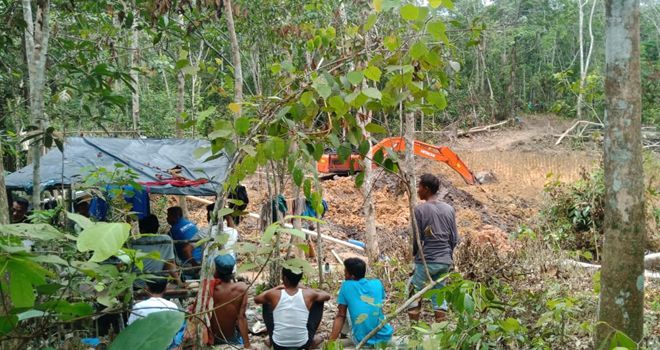 Delapan orang pelaku peti yang sedang melakukan aktivitas tambang ditangkap polisi, sedangkan dua orang pemodal diminta untuk menyerahkan diri

