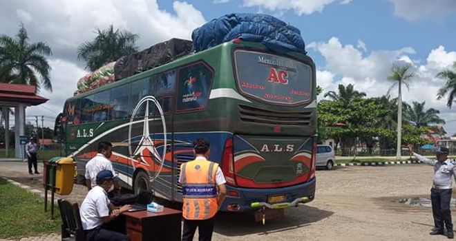 Satu mubil yang kita perintahkan putar balik bus dari pulau Jawa.