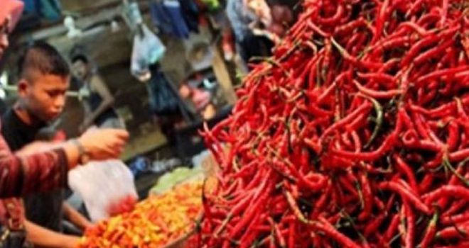 Kementan antisipasi jatuhnya harga cabai. 


