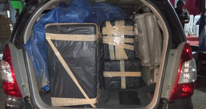 Penyelundupan Ribuan Baby LobsTer Digagalkan di Pos PAM Ketupat Tanjabtim,