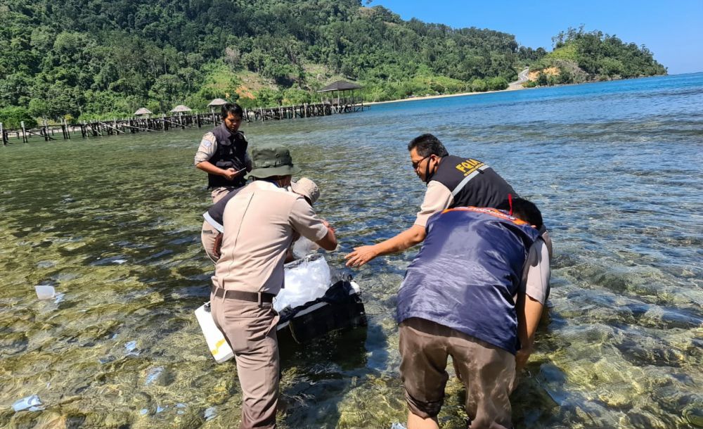 95.750 Benih Lobster Tangkapan Polres Tanjabbar Sudah Dilepaskan di Padang