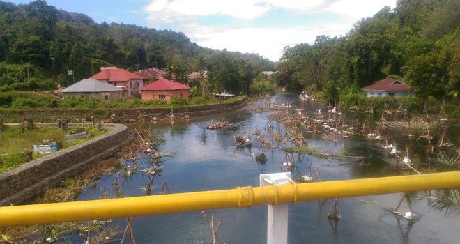 Kelestarian, keasrian serta keindahan Sungai Batang Merangin yang dikenal jernih dan berarus deras, kini dipenuhi dengan penangkaran ikan.