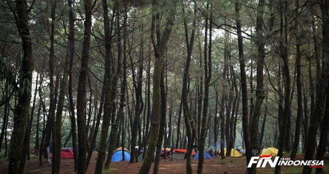 FOTO: FAISAL R. SYAM / FAJAR INDONESIA NETWORK.