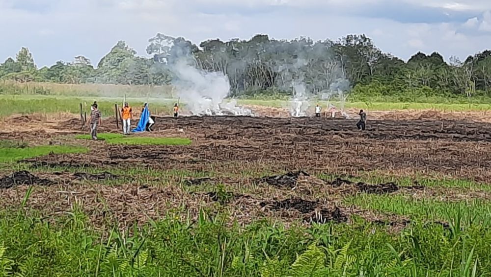Karhutla Kembali Terdeteksi di Wilayah Kecamatan Kumpeh