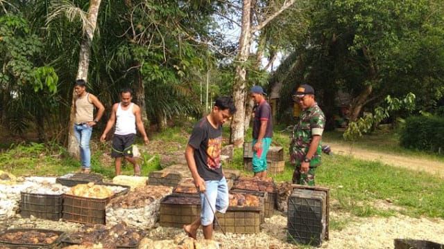 Harga Karet di Tebo Terjun Bebas