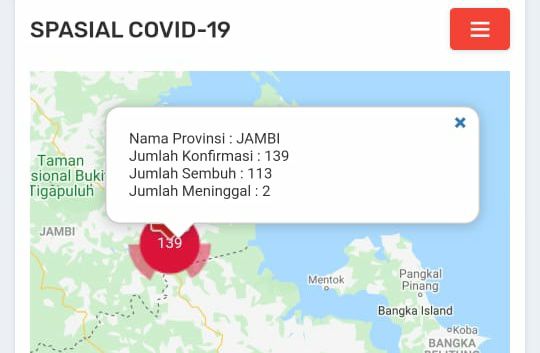 Pasien Sembuh Covid19 Jambi Bertambah 1 Orang, Total 113 Sembuh