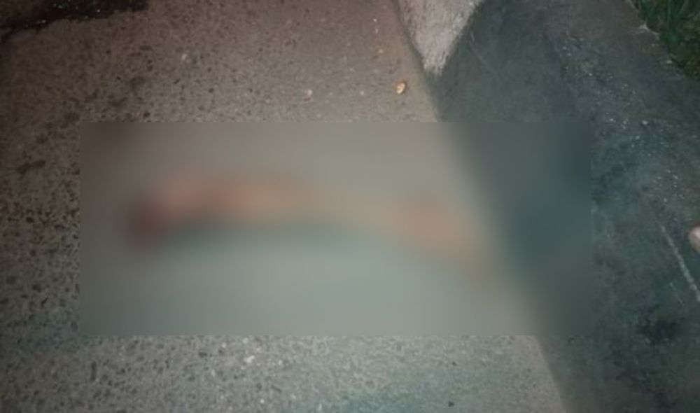 Warga Temukan Tangan dan Kaki Berserakan.