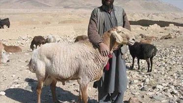 Sejarah Idul Adha, Nabi Ibrahim Diperintahkan Sembelih Anaknya Ismail