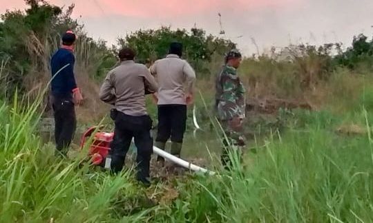 9 Ha Lahan PT. Kharisma di Kemingking Dalam Dilalap Api