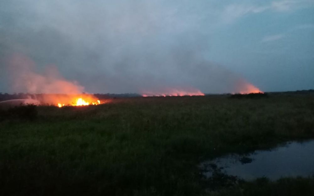 Polisi Mulai Cari Penyebab Karhutla di PT. Kharisma