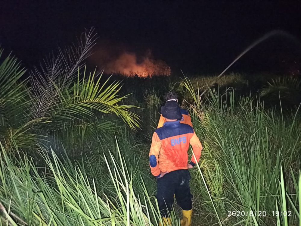 Karhutla Kembali Mengamuk di Kumpeh.