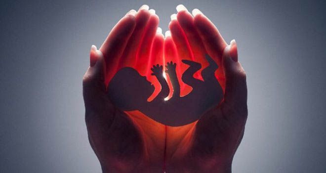 Sadis! Ribuan Janin Dilarutkan hingga Dibakar di Klinik Aborsi