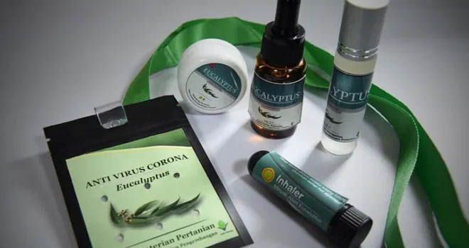 Temuan Kementerian Pertanian berupa antivirus Covid-19 yang terbuat dari daun eucalyptus kayu putih. Foto: Dok Kementan