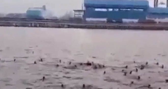 Kalibaru Cilincing, Jakarta Utara-- tangkapan layar