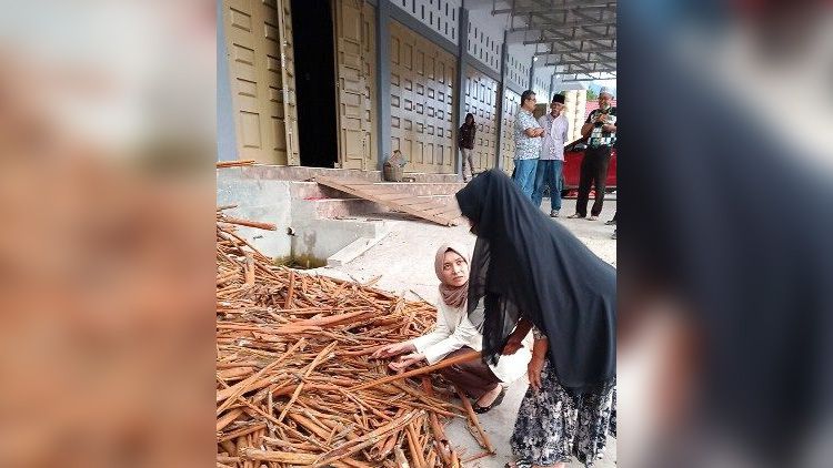 Ratu Munawaroh Sempatkan Diri Kunjungi Petani Kayu Manis di Kerinci