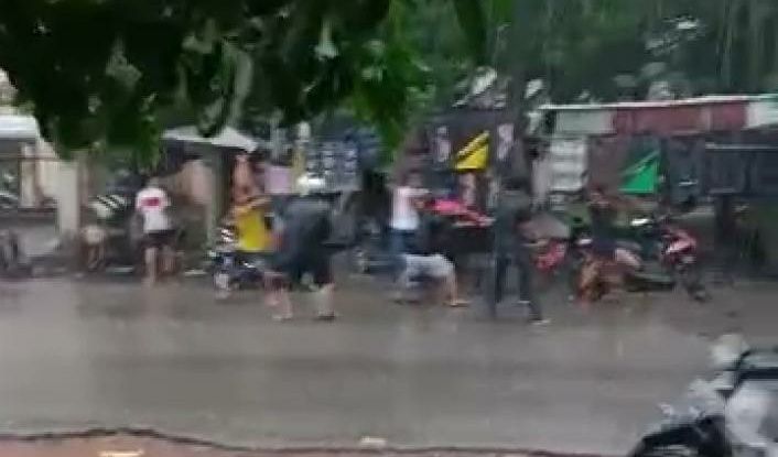 Aksi taruan dikawasan kebun Handil Jambi yang heboh di media sosial Instagram.