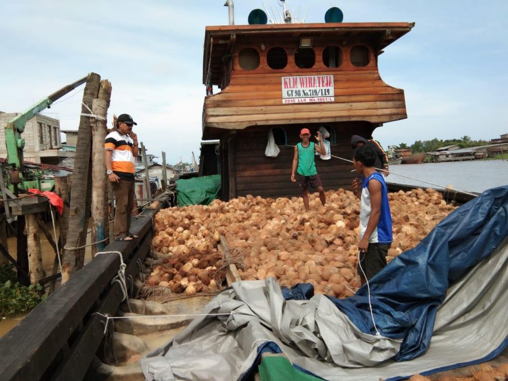 Harga Kelapa di Tanjabtim Merangkak Naik, Baca di Sini Informasinya.