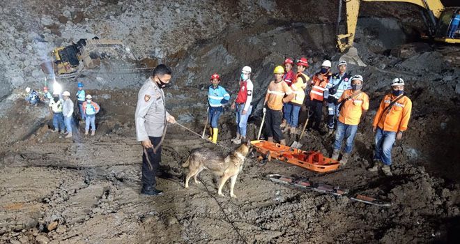 Dua Pekerja di Bungo Tertimbun Longsor di PT KIM