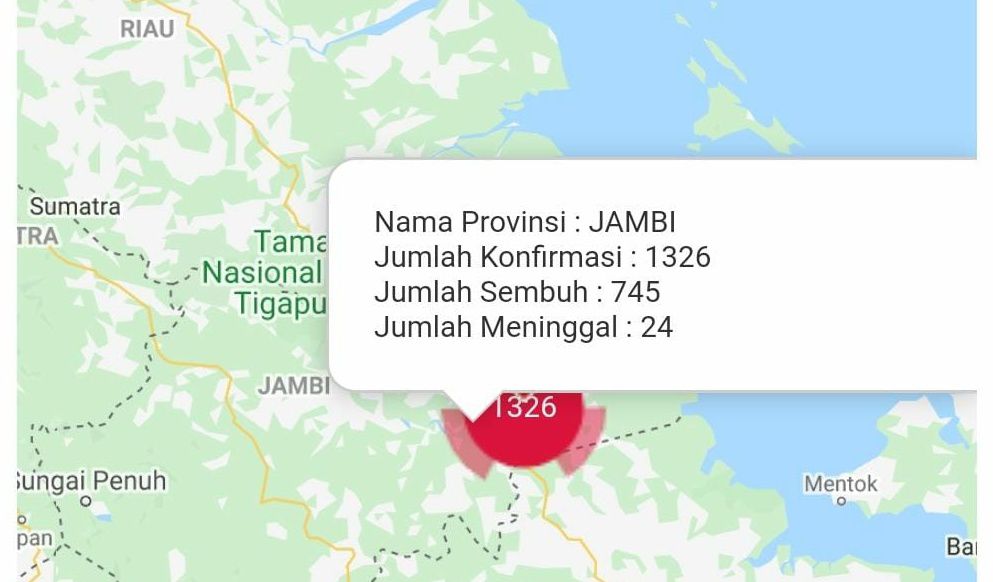 Update covid-19 Provinsi Jambi.