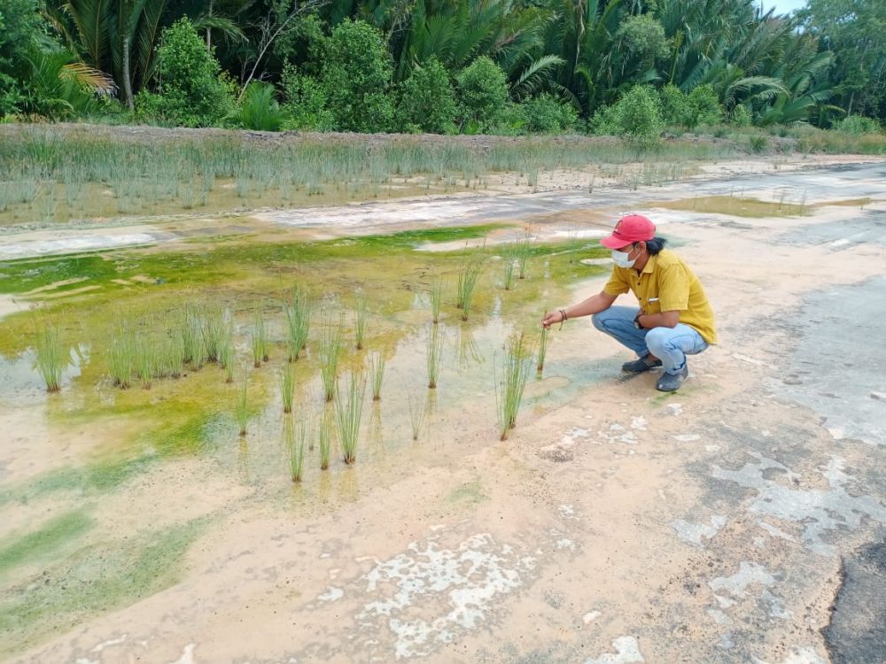 Proyek Road Race Senilai 6 M.