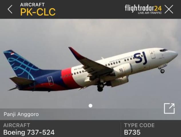 Pesawat yang hilang kontak. (IST)