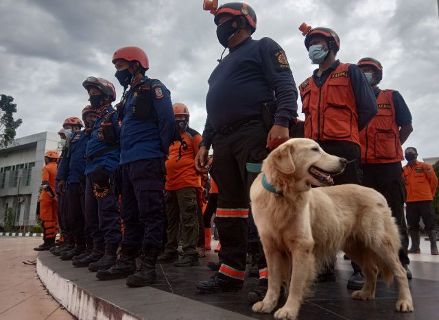 Anjing Pelacak Diturunkan Sisir Korban yang Tertimpa Reruntuhan Bangunan