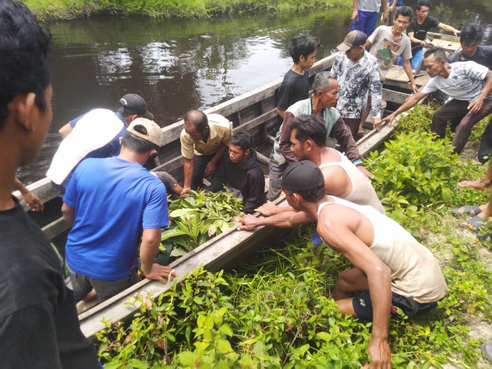 Pasca serangan buaya terhadap warga di Desa Catur Rahayu, Kecamatan Dendang, Kabupaten Tanjabtim, yang terjadi pada Senin (25/1) lalu.
