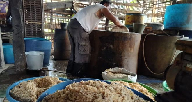 Usaha Tempe Haji Sehan di Batanghari.