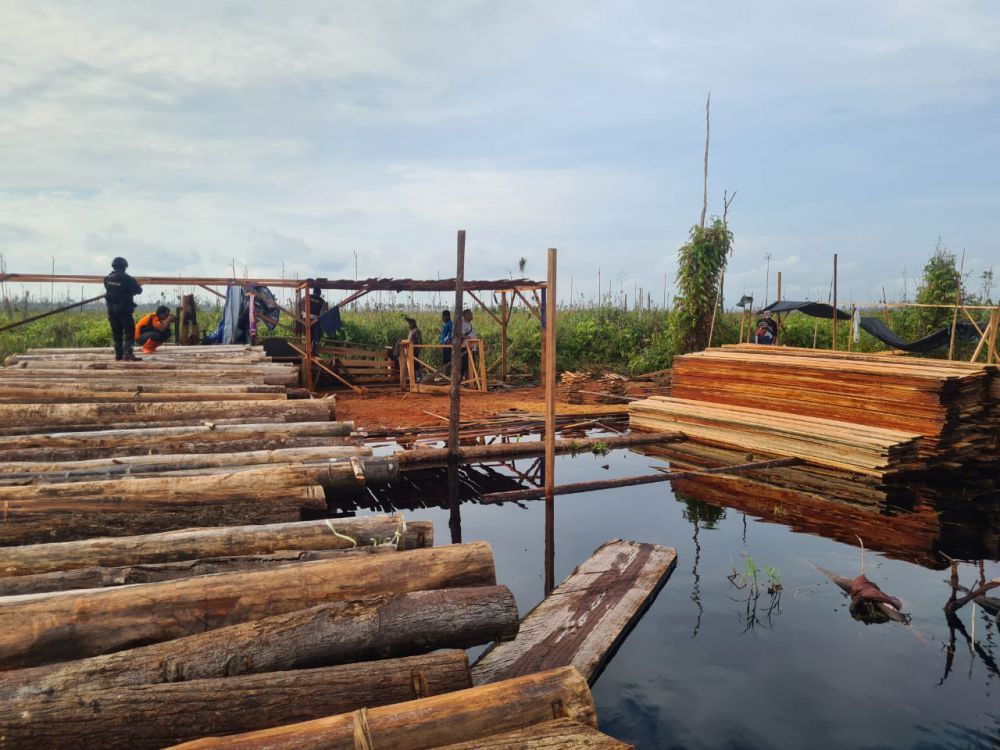 Tim Gabungan Gelar Patroli Bersama Temukan Aktifitas Illegal Logging.