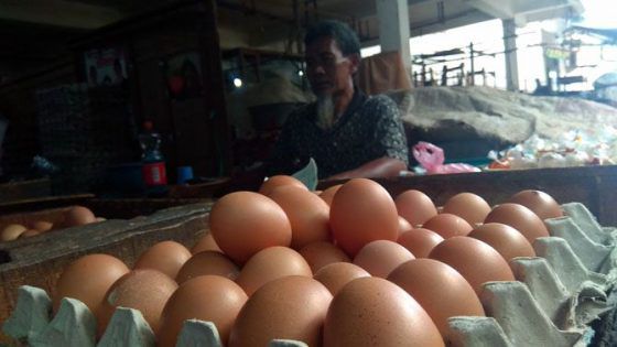 ILUSTRASI. Tiga bahan pangan yang menjadi favorit itu di antaranya, telur, susu, dan daging. 