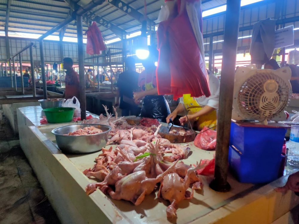 Pedagang menunggu pembeli daging ayam di pasar tradisional Jambi. Harga daging ayam sepekan ini masih mahal dan belum ada penurunan.
