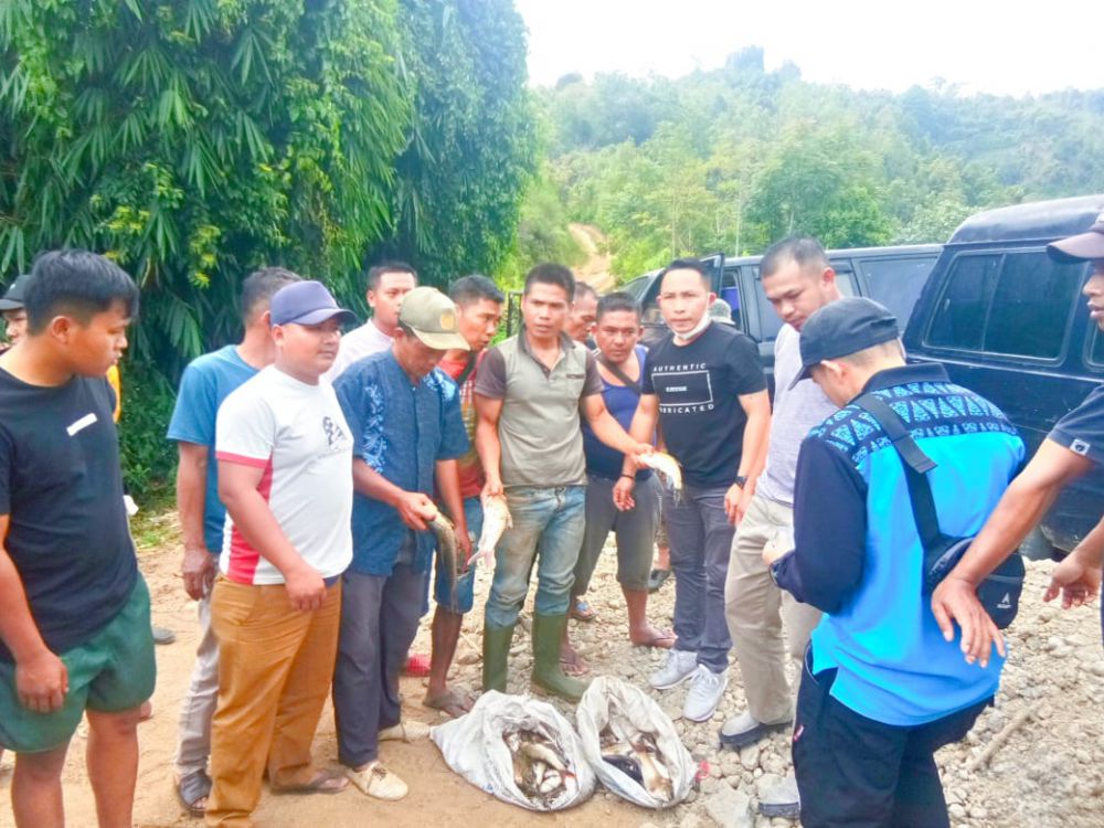 Ribuan Ikan di Lubuk Larangan Mati Diracun.