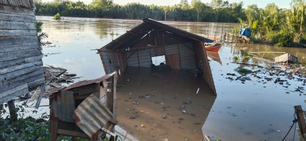12 Rumah Ambruk Terkena Abrasi di Sungai Kuala Betara.