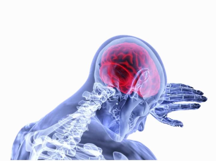 Kerangka manusia/ ilustrasi