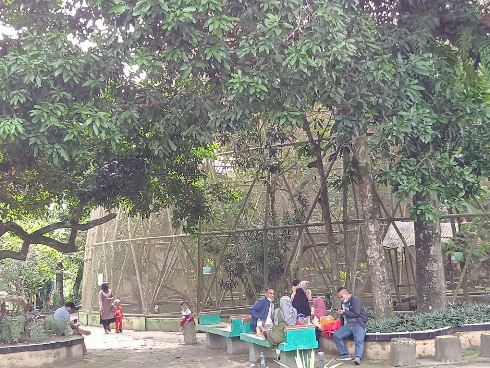 Kebun binatang taman rimba Jambi salah satu tujuan wisata untuk berlibur. Sejak pemberlakuan PPKM level 2, pengunjung mulai ramai.


